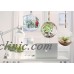 4"Dia Hanging Glass Globe Terrarium Candle Holder Bulk | Sold by Case of 6 790946397134  173197354035